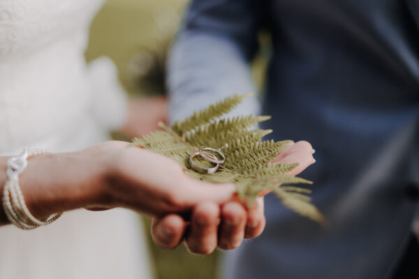 Bride and groom holding their wedding rings in their hands on a green leaf